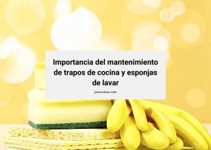 Lee más sobre el artículo Importancia del mantenimiento de trapos de cocina y esponjas de lavar